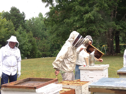 Hive Inspections Continue